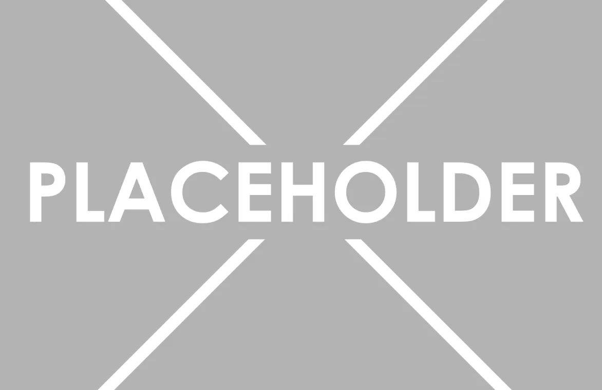 Placeholder 1 E1533569576673